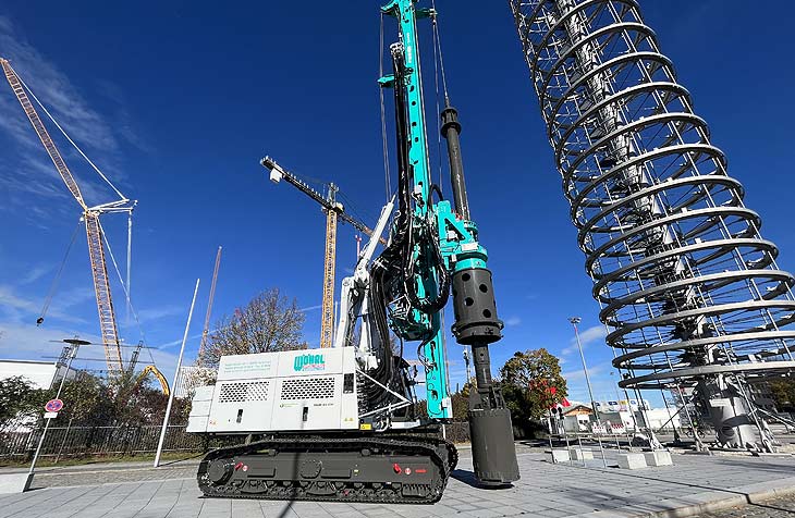 der Kranwald wächst (©Foto: Marikka-Laila Maisel)